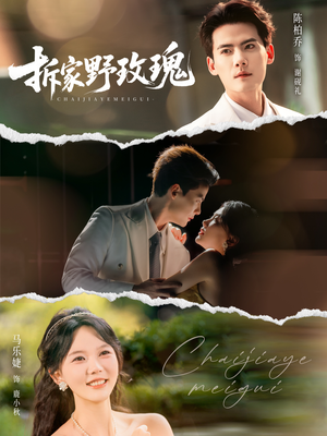 拆家野玫瑰（80集）一毛不花看完了整部短剧