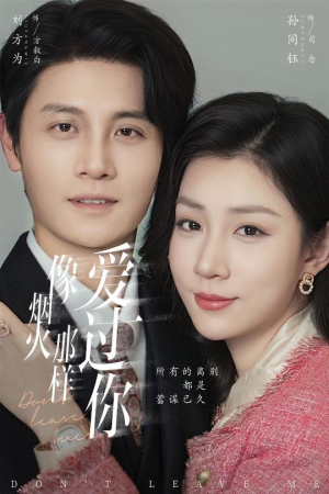 像烟火那样爱过你（62集）排行榜前十短剧