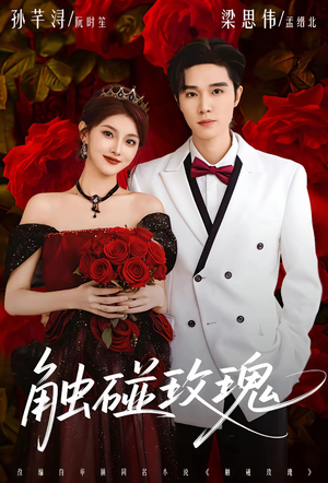 触碰玫瑰（80集）零花钱看整部剧的短剧平台