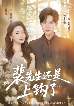 裴先生还是上钩了（62集）一口气看完全集的短剧推荐