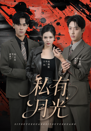 私有月光（78集）红果短剧免费全集看