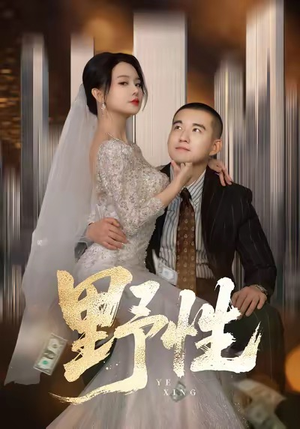 分手后，顶头上司要嫁我（70集）热播短剧追不停