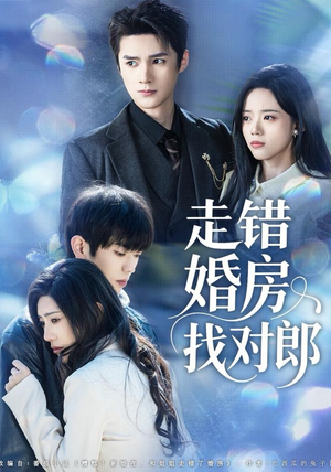 走错婚房找对郎（50集） 精彩短剧抢先看全集