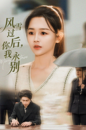 风雪过后你我永别（51集）短剧在哪个平台