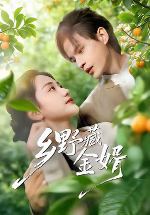 乡野藏金婿（50集）全集免费观看的短剧资源