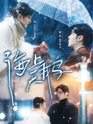 海上天鹅（70集）花生短剧热门短剧