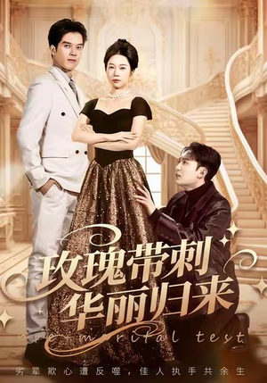 玫瑰带刺华丽归来（83集）短剧有好货推荐