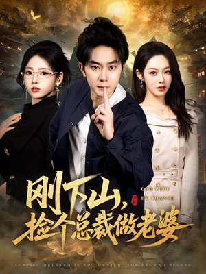 刚下山捡个总裁做老婆（80集）免费观看最新短剧全集