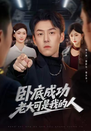 卧底成功老大可是我的人（99集）高清无码短剧免费看