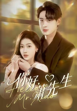 你好，萧先生（98集）番茄短剧看全集