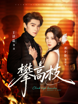 攀高枝（70集）免费看剧热门短剧