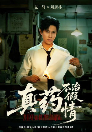 真药不治假情（60集）精彩的网络短剧