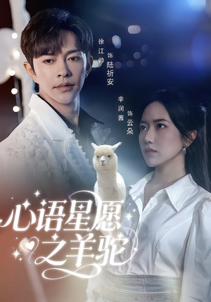 心语星愿之羊驼（60集）大结局直达的短剧精选资源