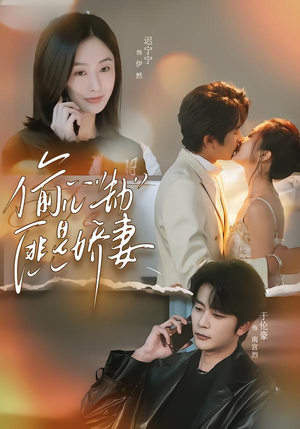 偷心劫匪是娇妻（61集）好看的短剧电视剧