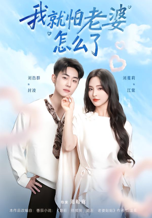 我就怕老婆怎么了（88集）免费看全网影视短剧动漫