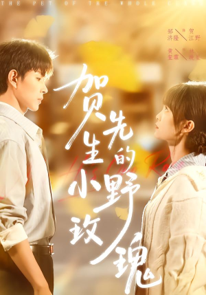 贺先生的小野玫瑰（99集）精彩短剧又来了