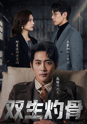 双生灼骨（60集）短剧大结局合集放送