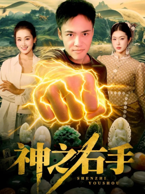 神之右手（100集）热播短剧持续更新中