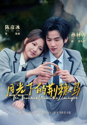 月光下的荆棘鸟（80集）短剧合集导演剪辑版