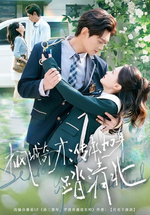 枫城奇才：传承加身踏清北（80集） 一部短剧追的停不下来