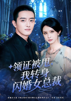 领证被甩，我转身闪婚女总裁（80集）全集在线短剧观看免费版