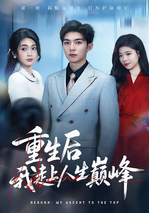 重生后我走上人生巅峰（80集）在线观看全集高清资源的短剧