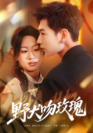 野犬吻玫瑰（70集）短剧全剧免费合集