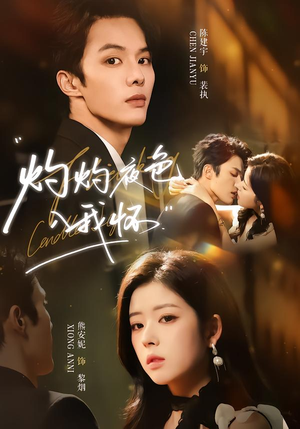 灼灼夜色入我怀（60集）热播短剧抢先看全集