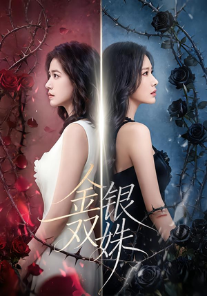 金银双姝（80集）抢先看热门短剧
