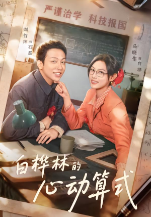 白桦林的心动算式（66集）新短剧推荐正在热播