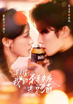 别摸！我的杀手女友是只猫（60集）短剧全集在此免费观看