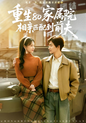 重生80家属院，相亲匹配到前夫（77集）随时随地想看就看短剧