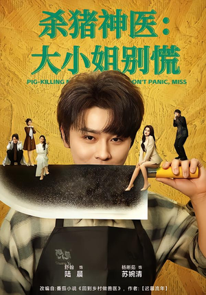 杀猪神医，大小姐别慌（80集）热门短剧看不停