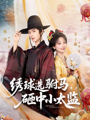 绣球选驸马，砸中小太监（81集）每晚准时更新分享