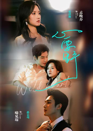 心要野（62集）让你看了就停不下来的精彩短剧