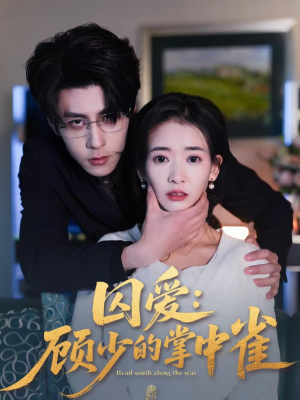 囚爱：顾少的掌中雀（70集）万里归乡短剧精彩剧情