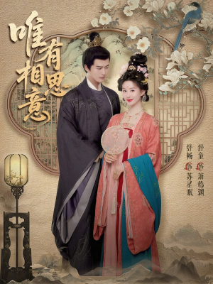 唯有相思意（100集）穿越短剧免费看全集