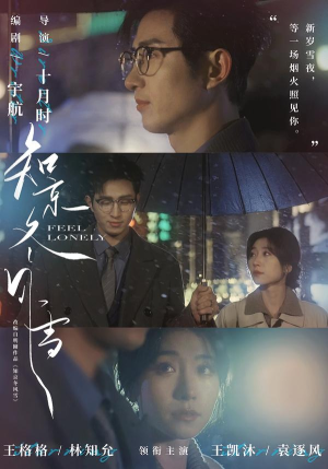 知京冬风雪（68集）古装短剧热门推荐