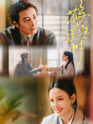 鹤归瑾时（81集）最新热门短剧抢先看