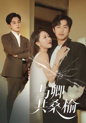 与卿共桑榆（63集）好看短剧看不停