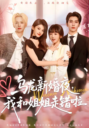 乌龙新婚夜，我和姐姐走错啦（59集）海量短剧免费看