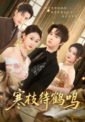 寒枝待鹤鸣（70集）无需注册短剧在线免费看