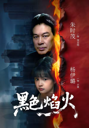 黑色焰火（41集）红果天天免费看短剧