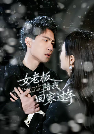 女老板陪我回家过年（40集）热门短剧看不停