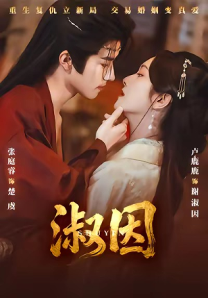 淑因（65集）火爆短剧来袭好看又上头的短剧