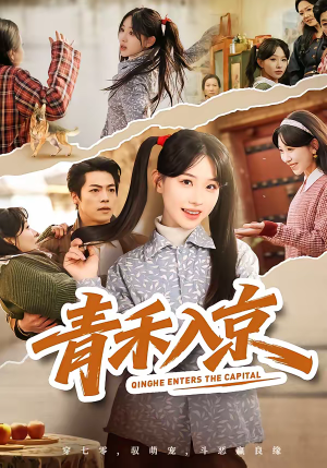 青禾入京（60集）免费观看精彩短剧