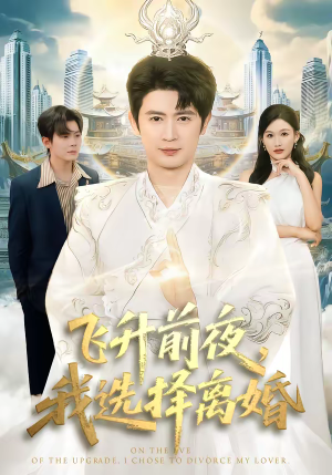飞升前夜，我选择离婚（80集）免费观看最新短剧大结局