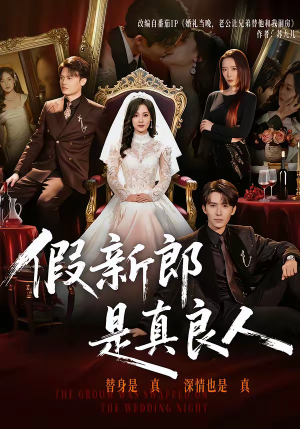 假新郎是真良人（67集）红果免费短视频剧