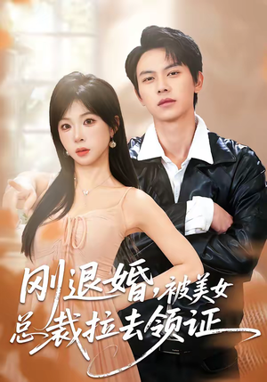 刚退婚，被美女总裁拉去领证（81集）热门短剧推荐古装