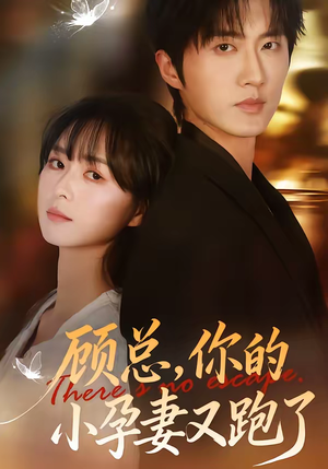 顾总，你的小孕妻又跑了（47集）热门短剧推荐每天准时更新